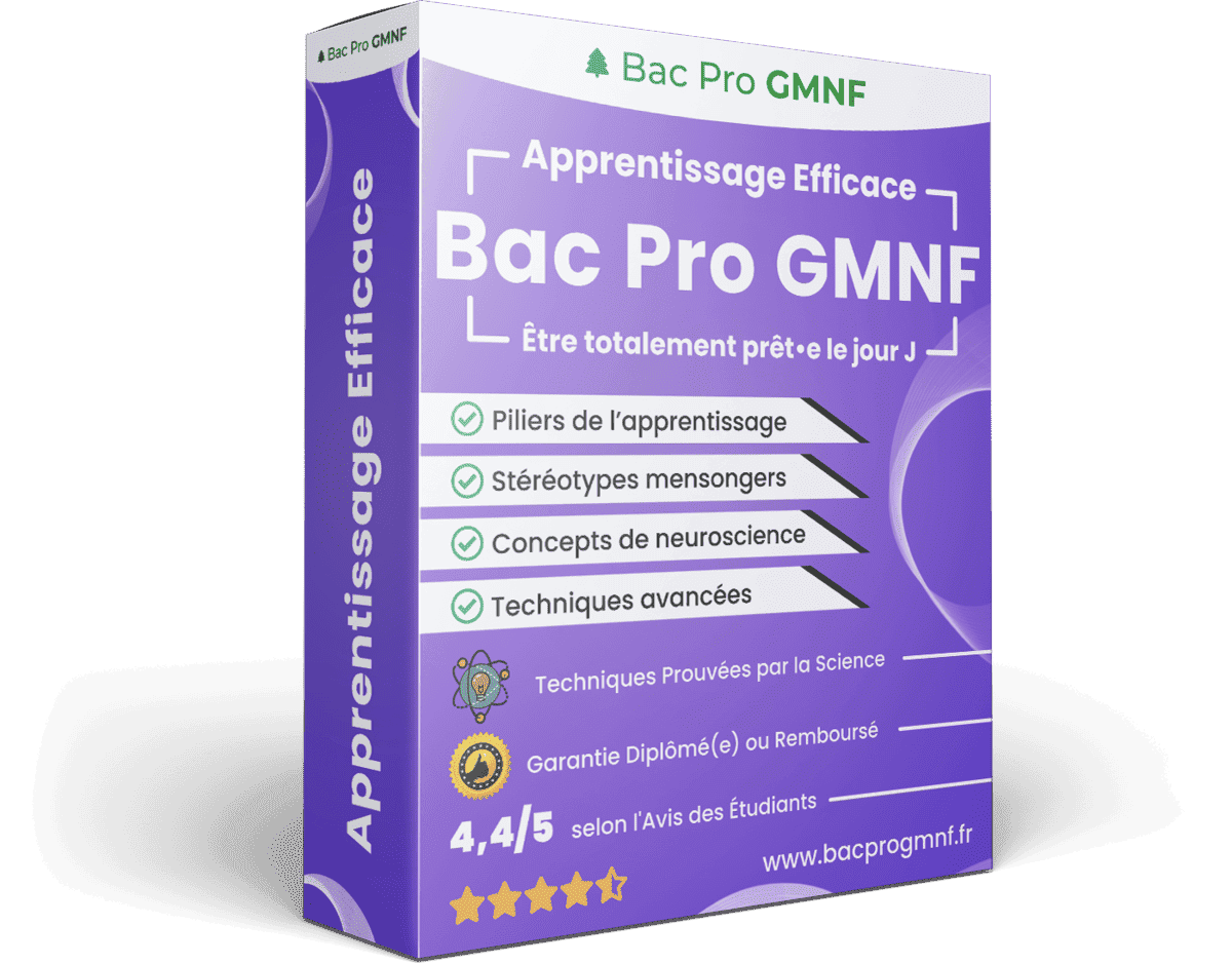 Apprentissage Efficace